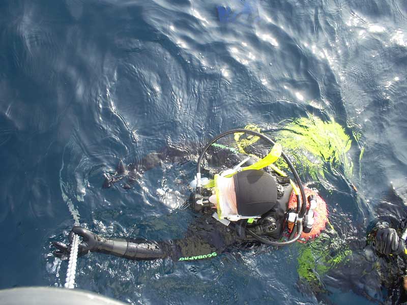 L'Olga agafant la cadena del barco mol adecuadament